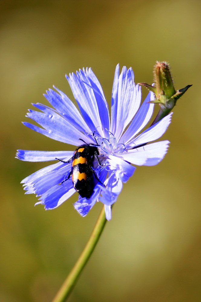 Photograph by Ольга Павлова