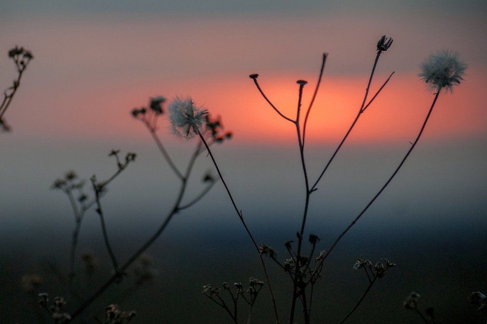 На закате...