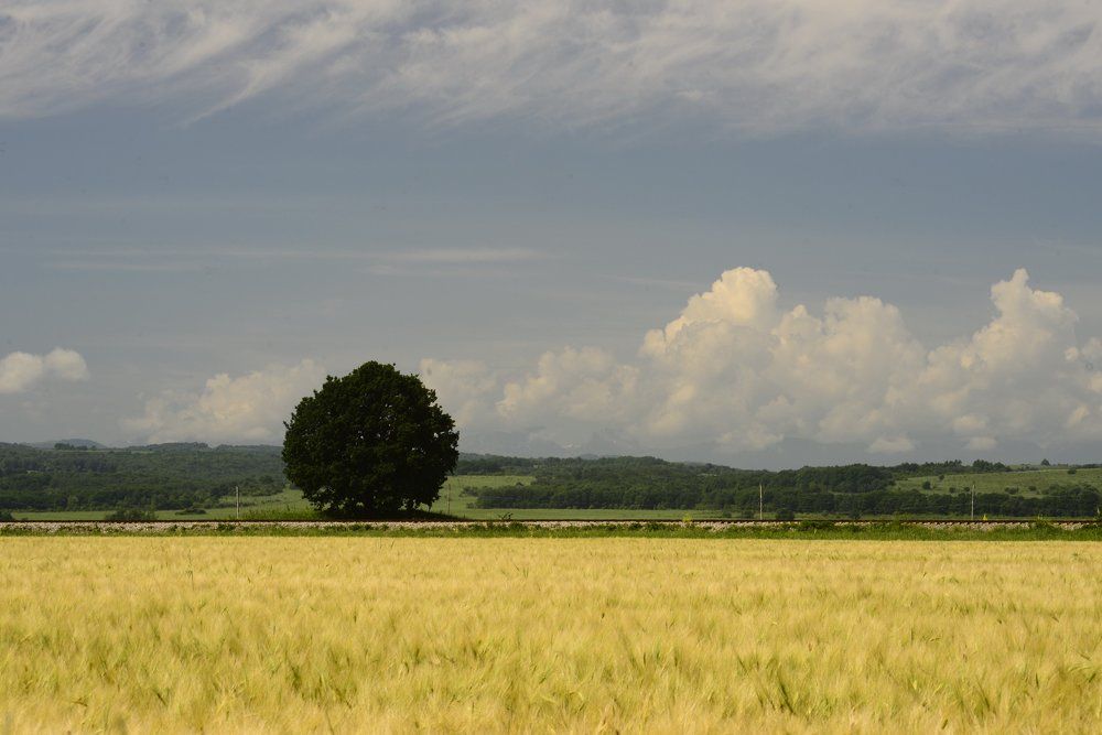 Фотография автора Медведев Сергей