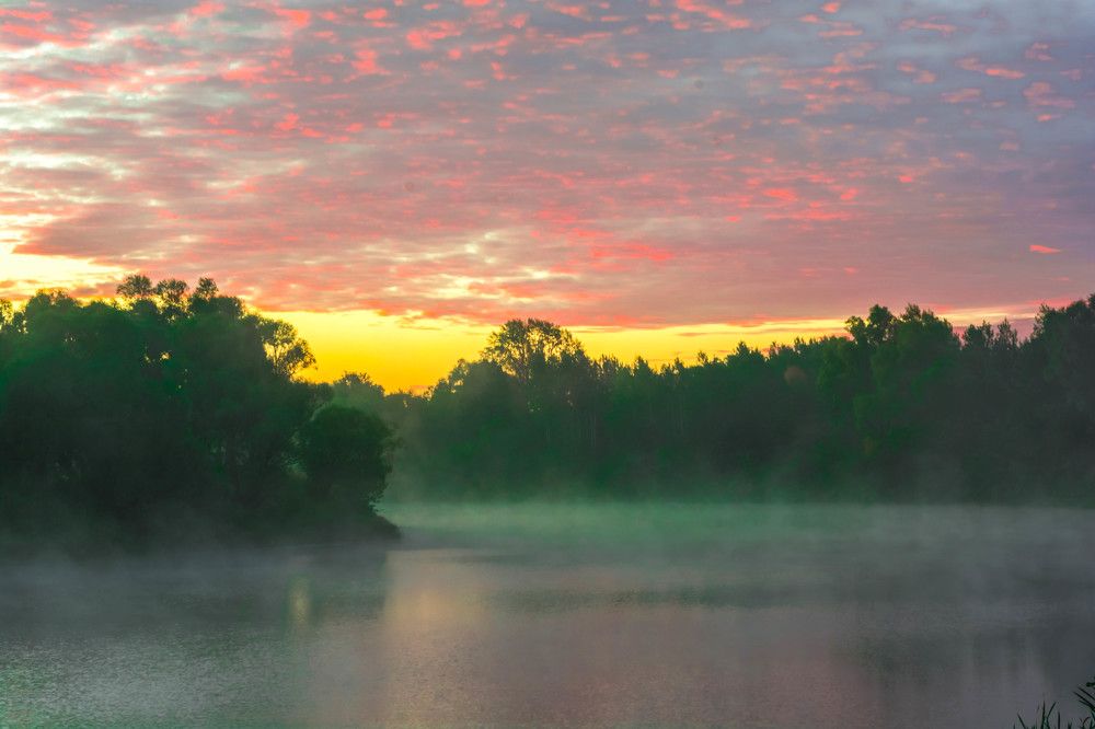 Туман над рекой