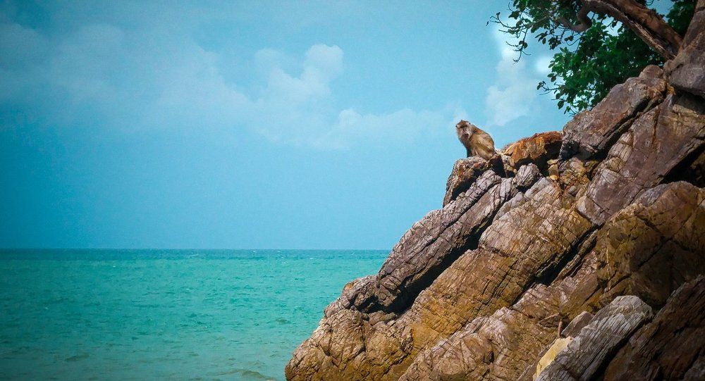 Animals do worry about mother earth