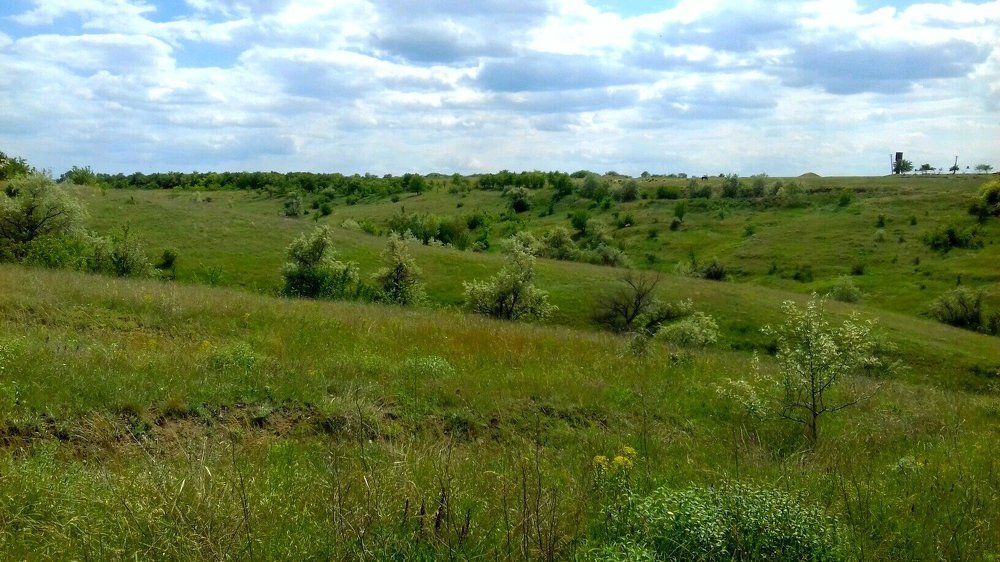 Бескрайнее поле.