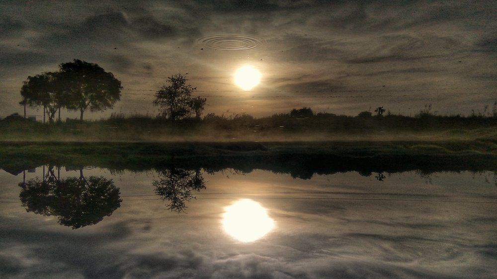 Reflection