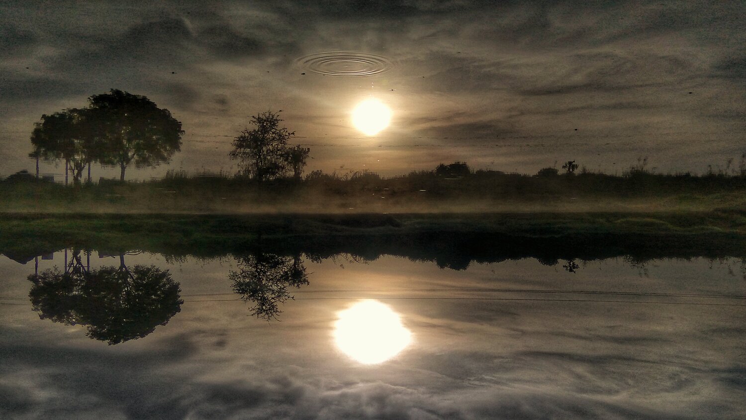 Reflection