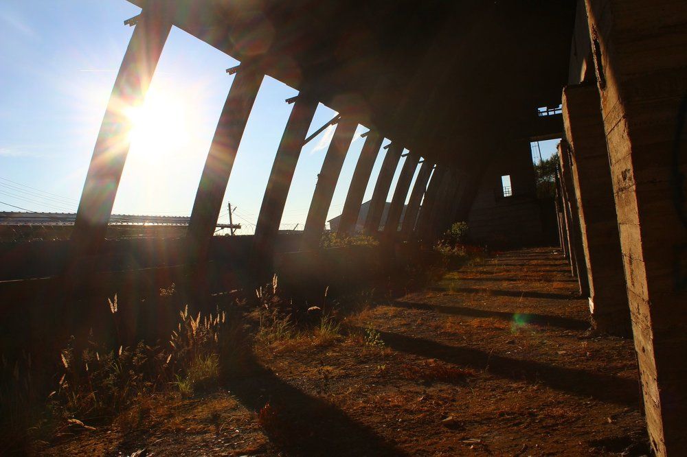 Где-то, где нет людей.