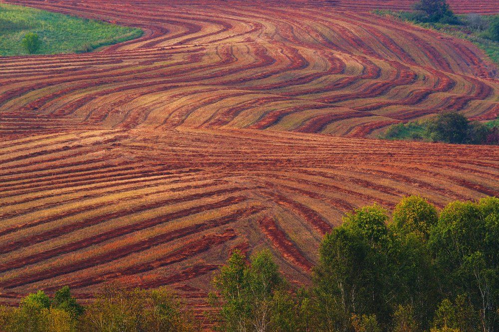 Красногорье