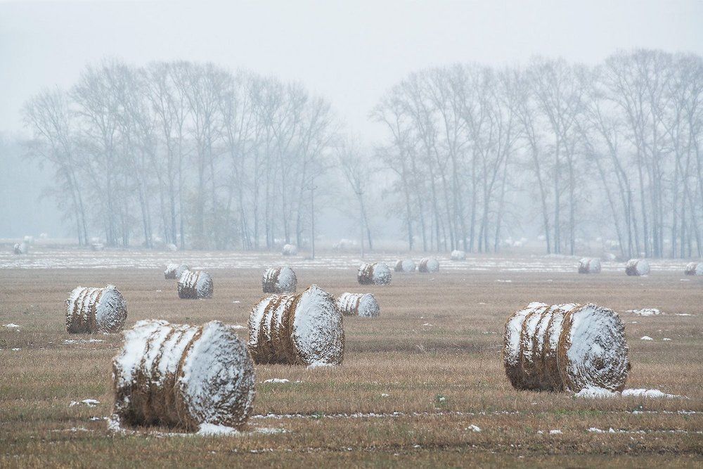 Первый снег