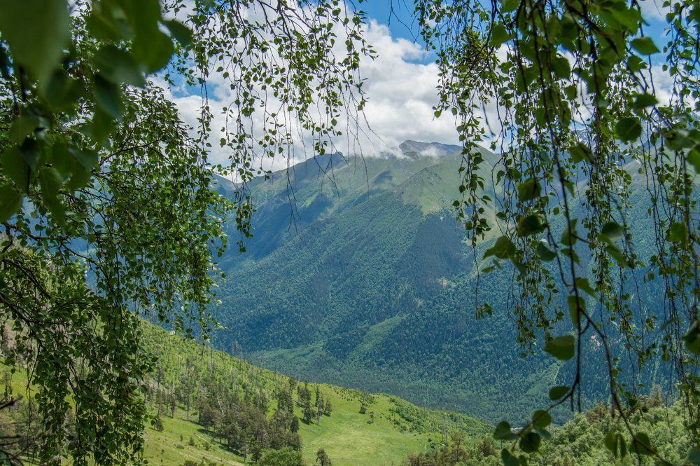 Photograph by Татьяна Боталова