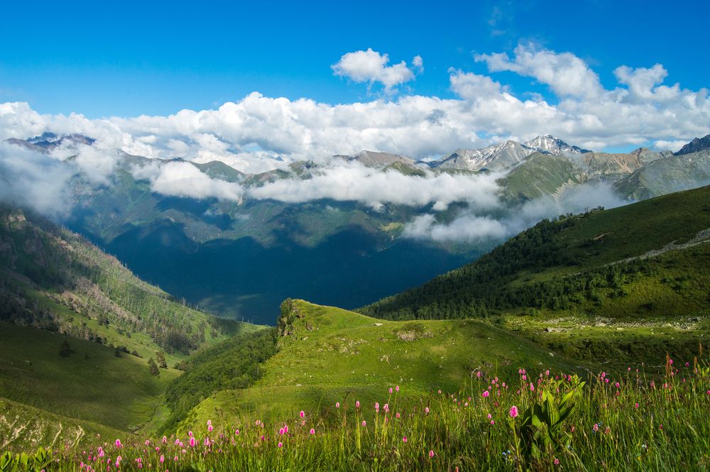 Photograph by Татьяна Боталова