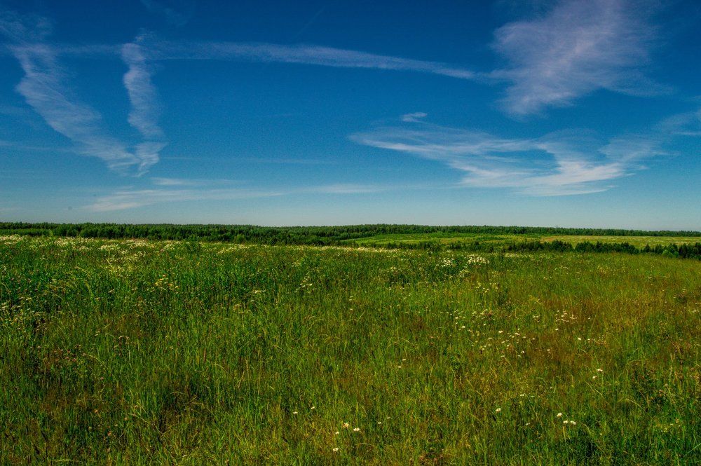 Photograph by Татьяна Боталова