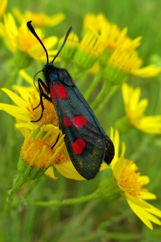 Photograph by Ольга Павлова