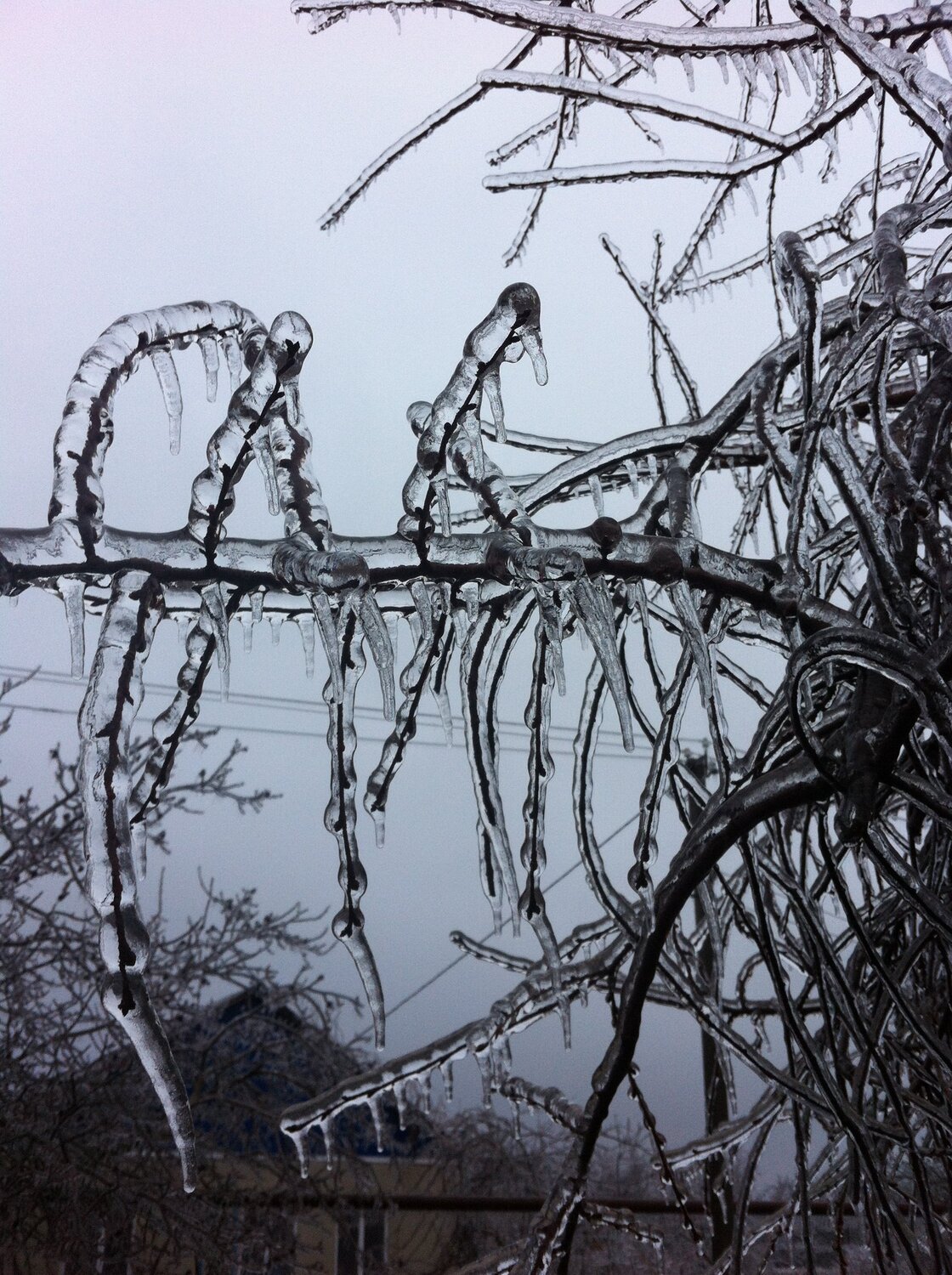 Кубанская зима