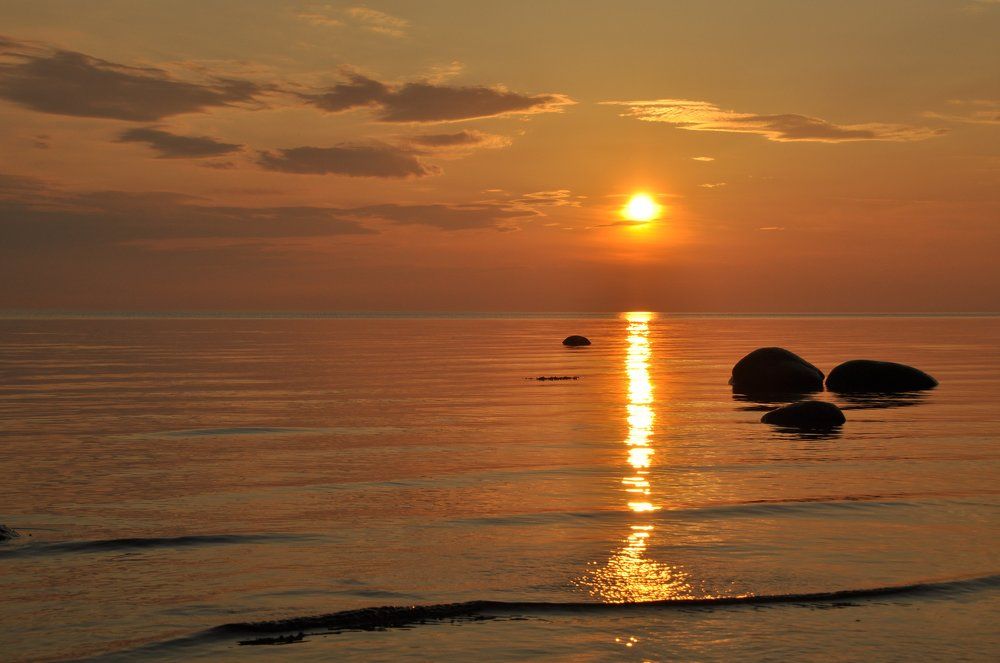 Золото Белого моря