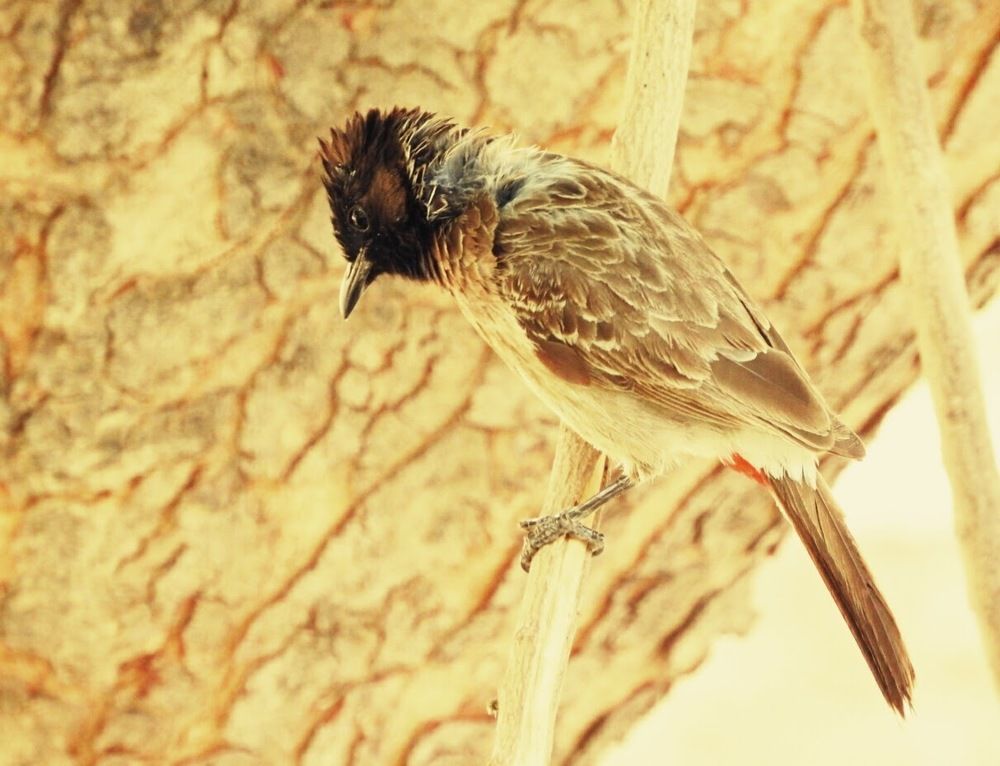 Photograph by Rupal Verma