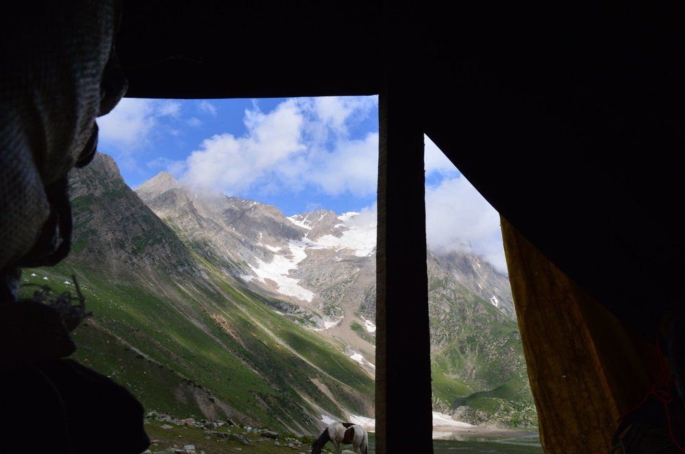 from the window of Shepherd