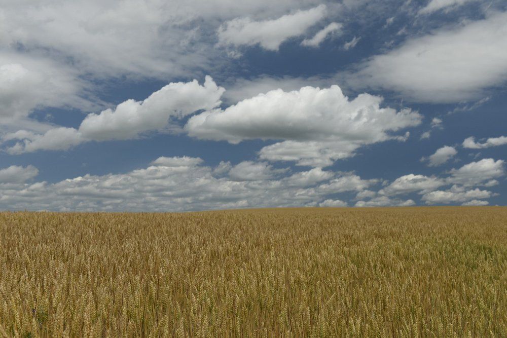 Русский стандарт