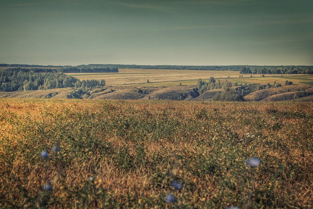 Photograph by Svetlana