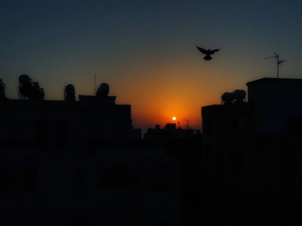 Photograph by Aлексей