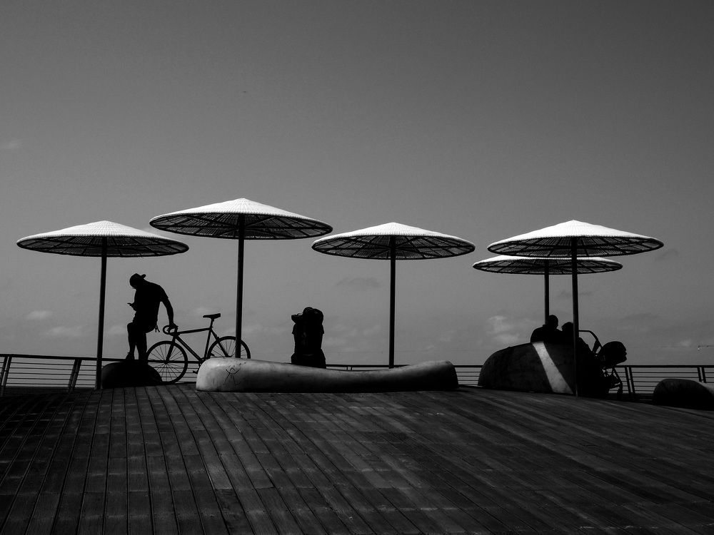 У берега моря