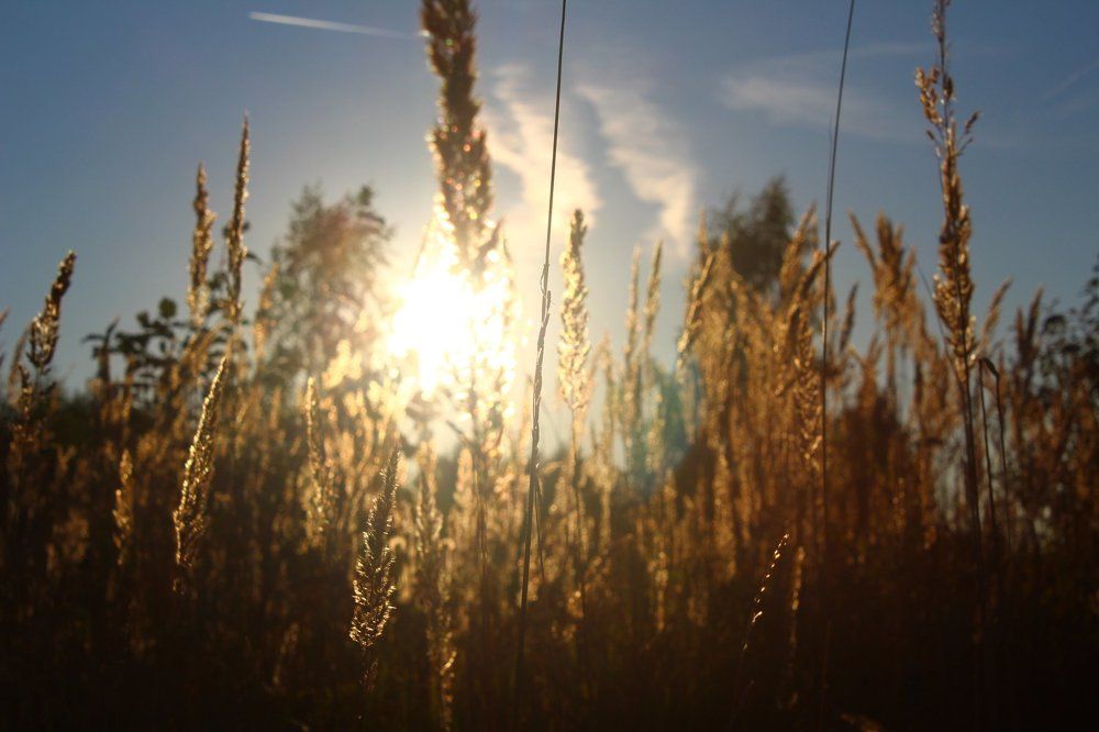 Сверкая, на закате...
