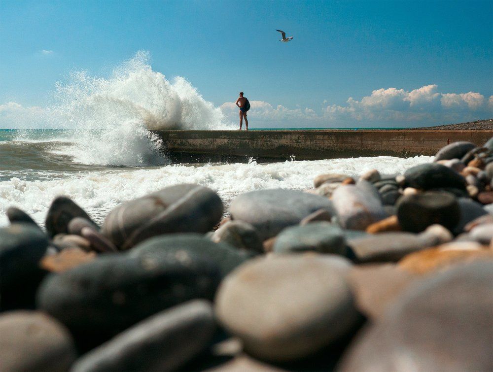 Буревестник