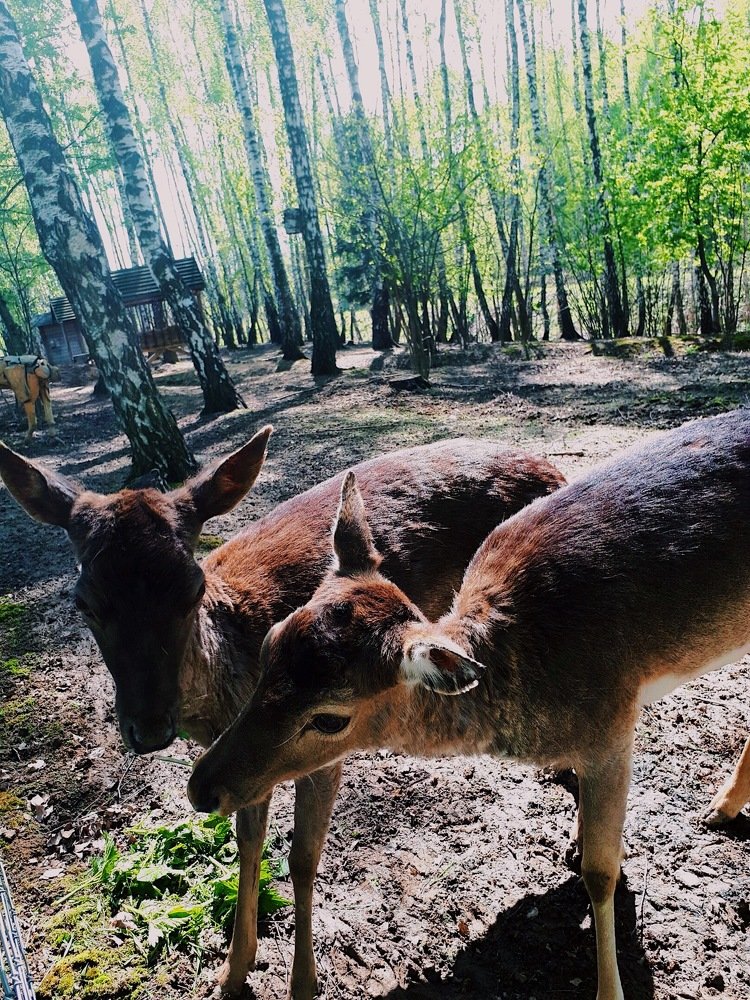 Photograph by Анастасия Козлова