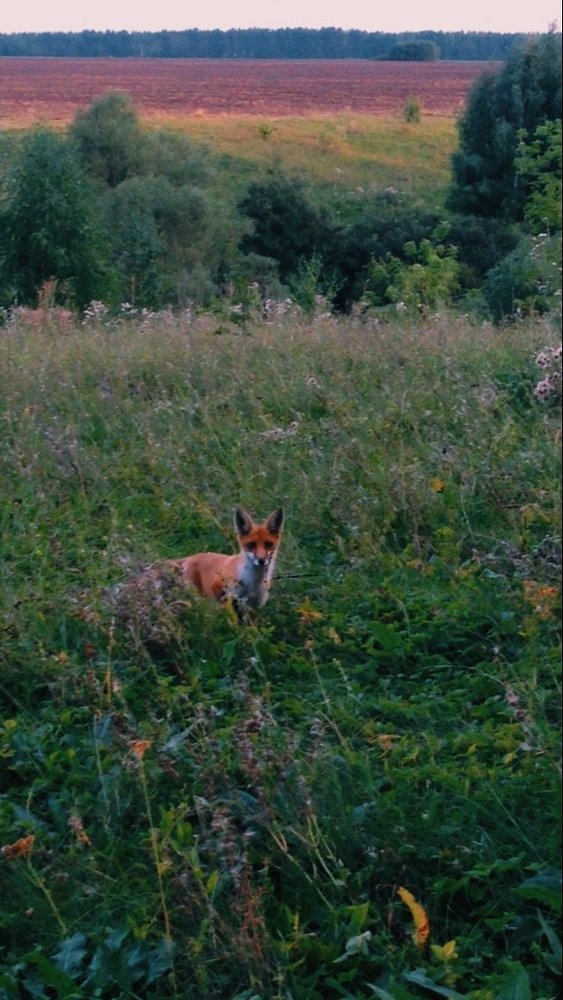 Photograph by Анастасия Козлова