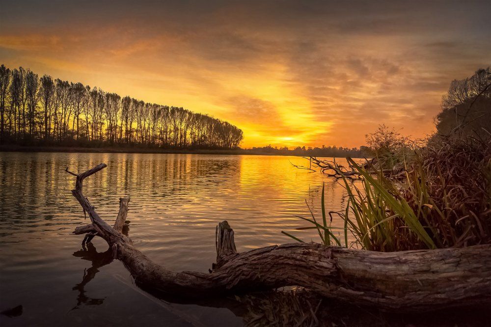 Осенним вечером........