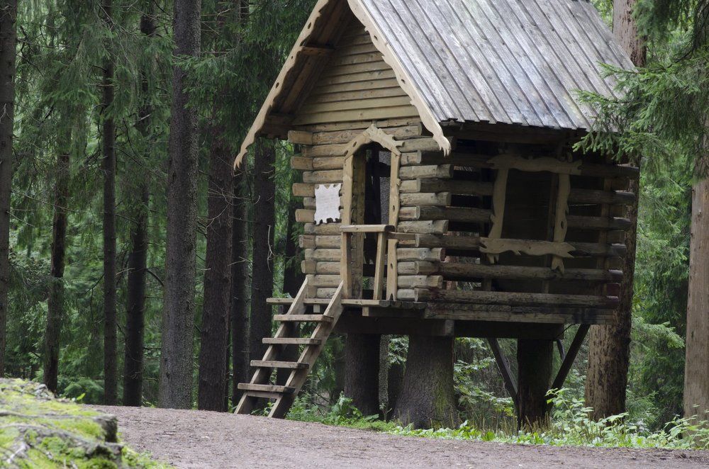 Photograph by Алексей Фомичев