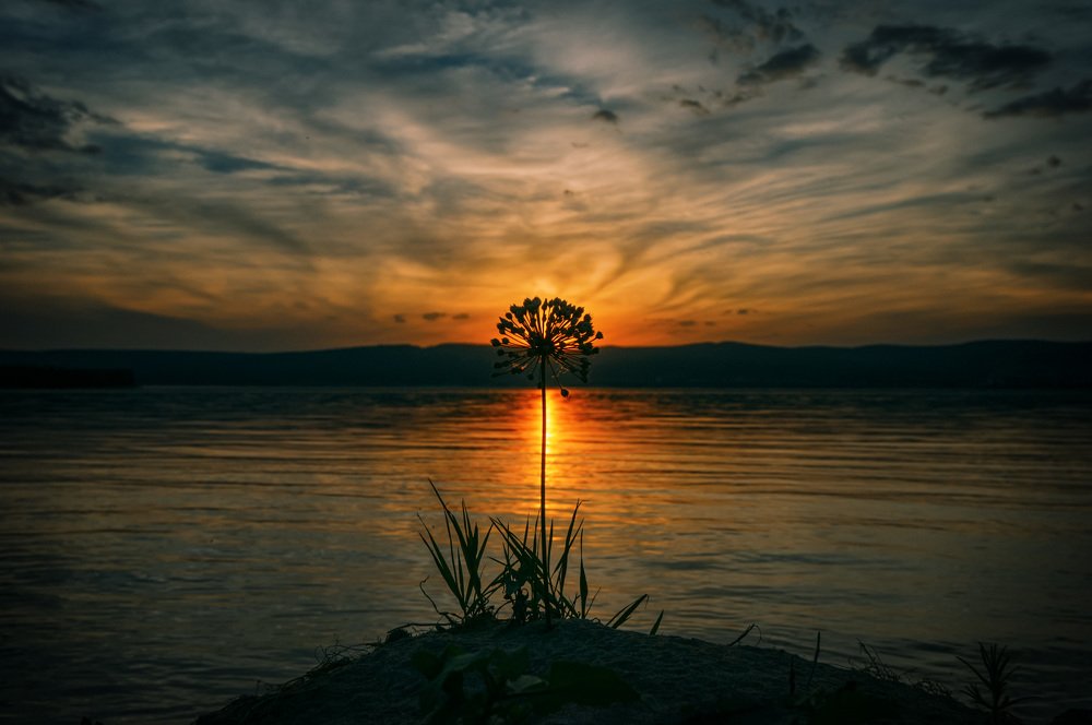 Свет ежедневно уступает тьме, чтоб вновь и вновь с триумфом побеждать.
