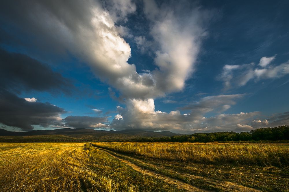 Перед закатом.