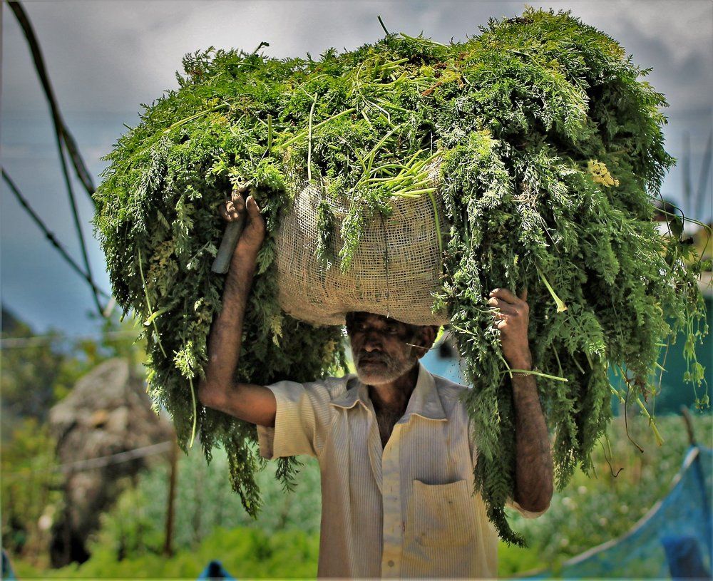 Oбычным жарким трудоым утром