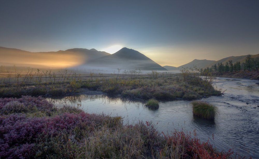 Рассвет в лесотундре