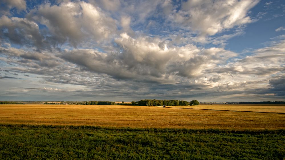 Русское поле
