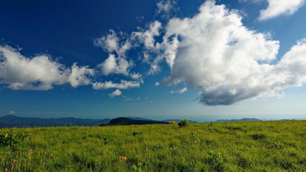 Вид с поля на вершине горы