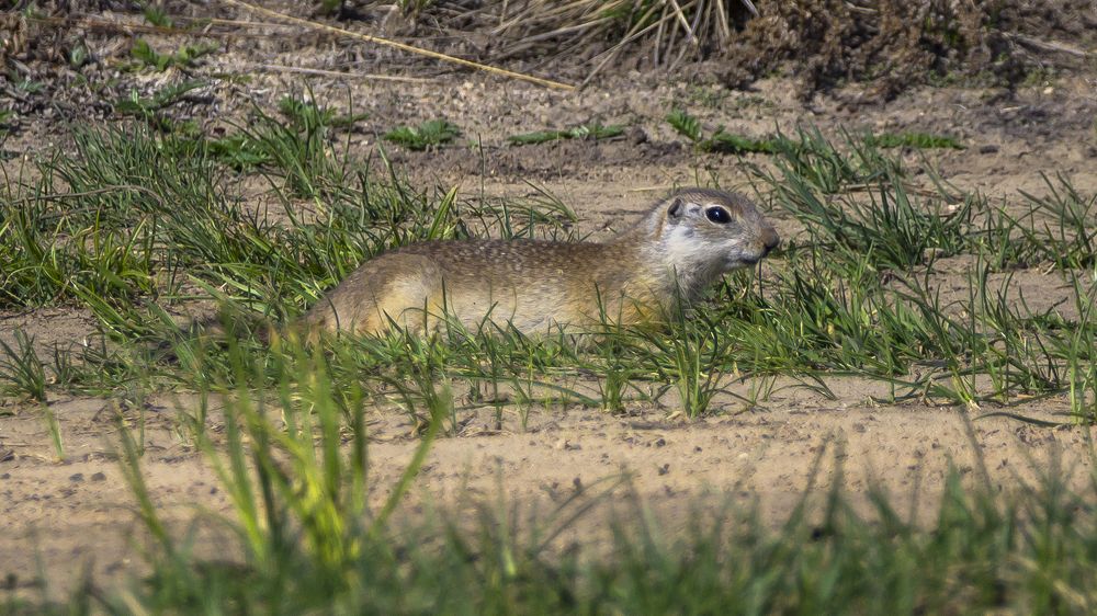 Photograph by Saharow Armeh