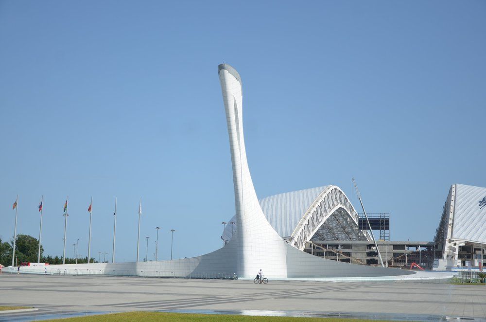 Белый лебедь.