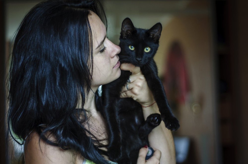 Осеннее утро