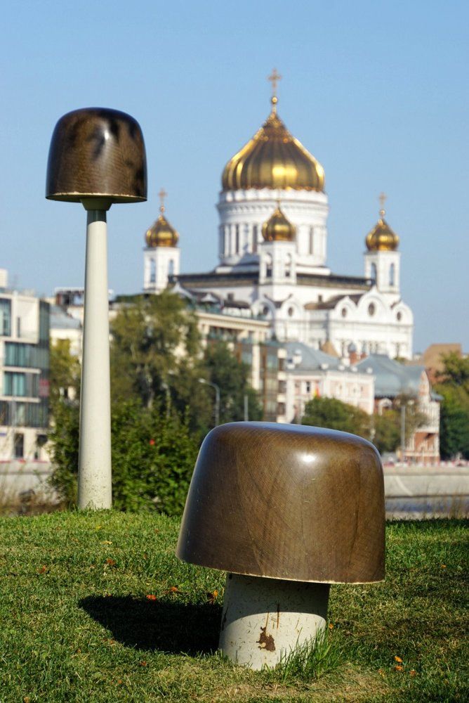 Грибочки