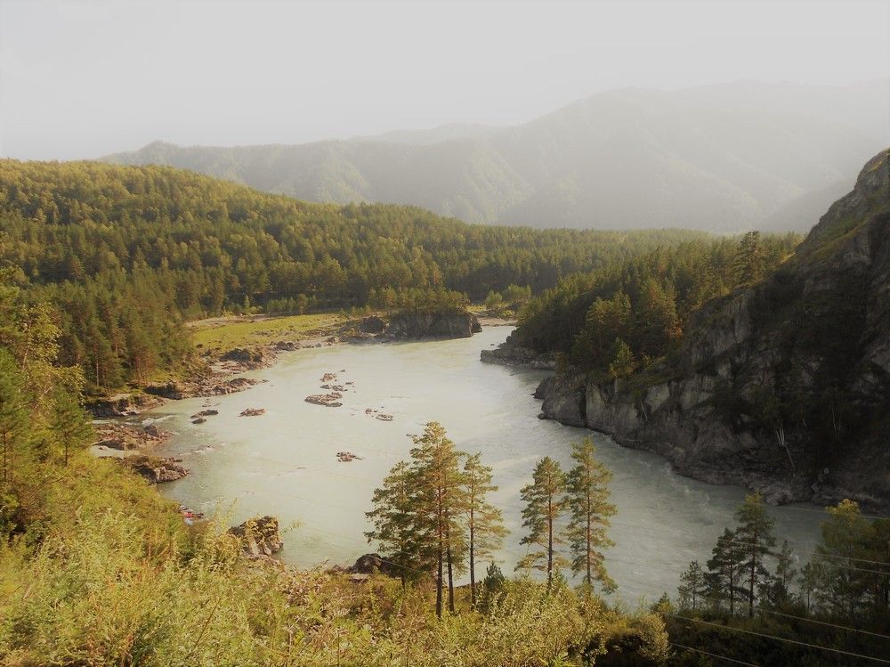 С высоты гор