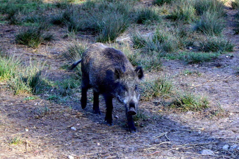 Photograph by Ольга Павлова