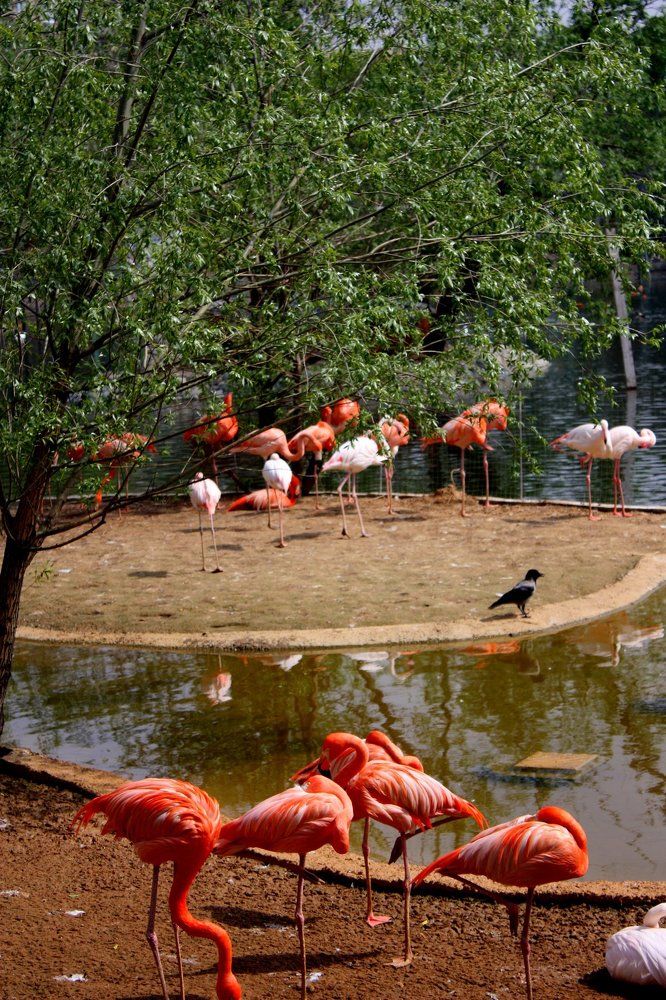 Photograph by Ольга Павлова