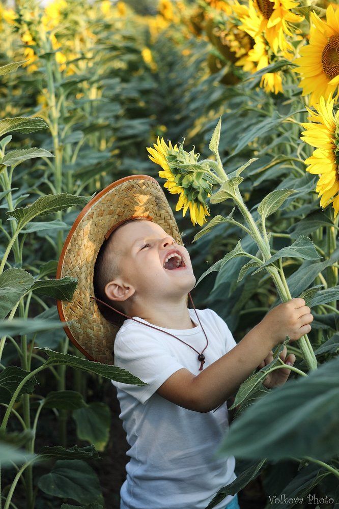 Подсолнечный мальчик