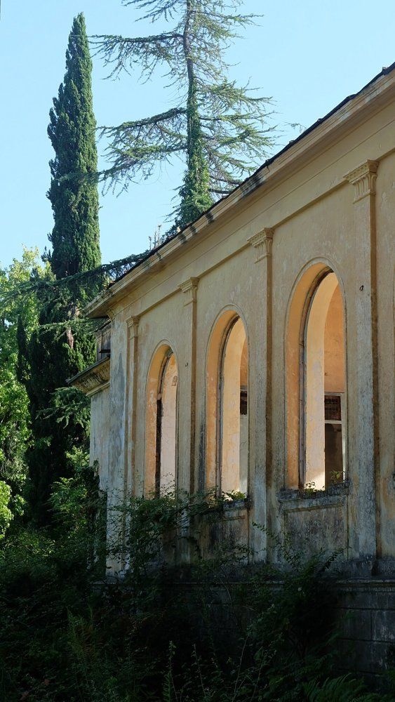 Photograph by Anna Pankratova