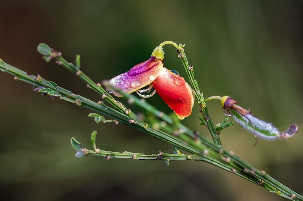 Photograph by Alexander Papkov