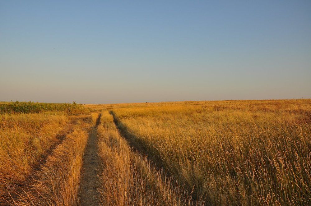 Степная дорога