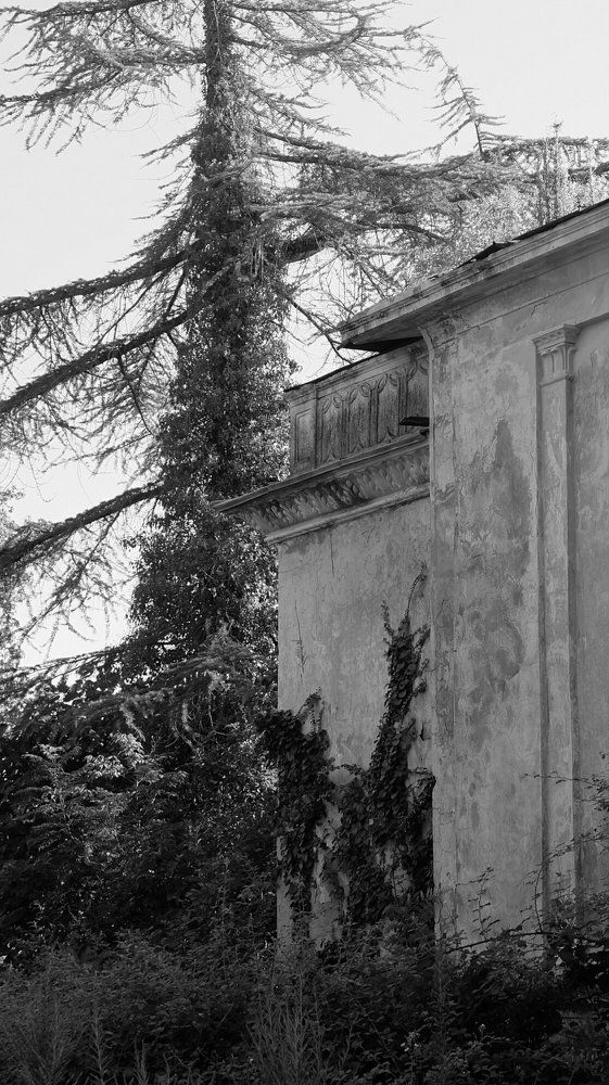 Photograph by Anna Pankratova