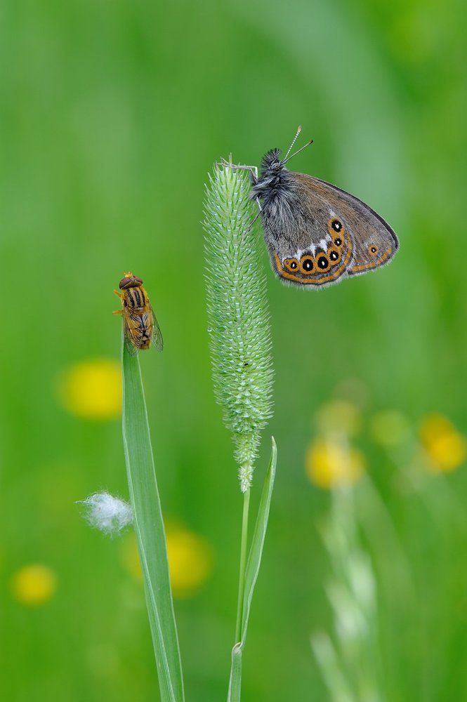 Пробуждение.