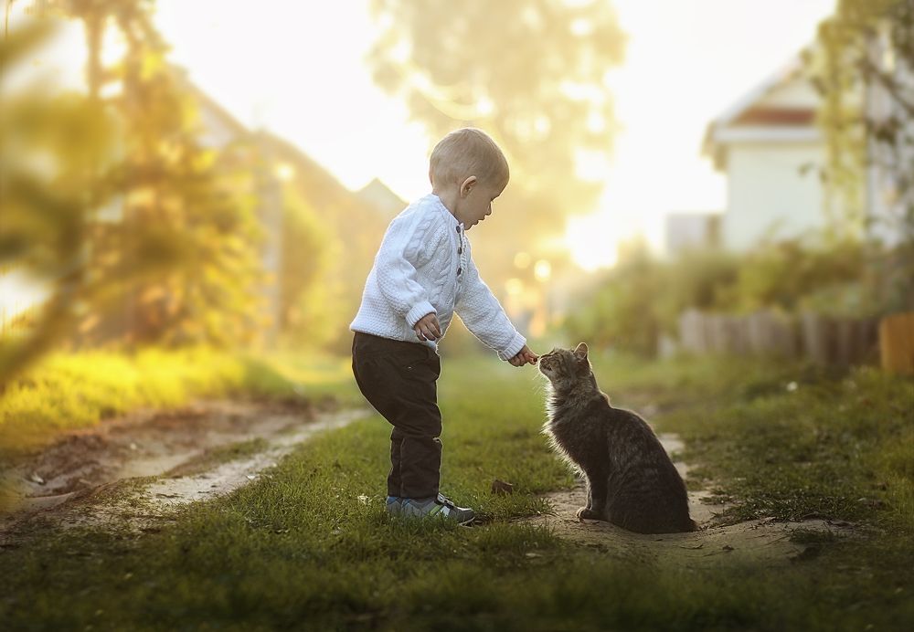 Тимошка и кошка