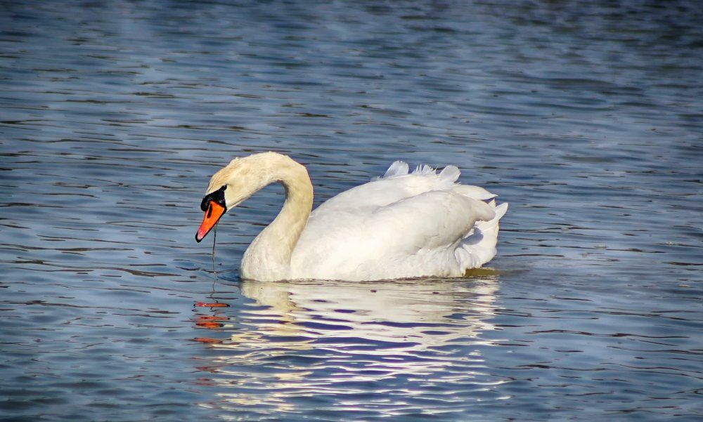 Photograph by Kristijan Siladić